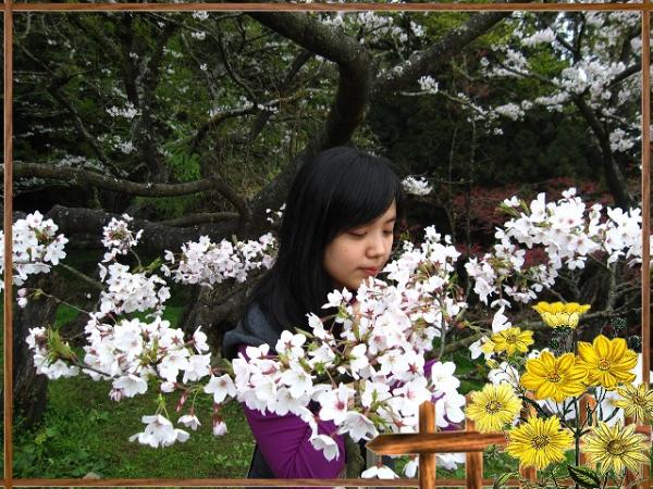 采采麗容，咬咬好音